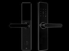 青松沃德-Wi-Fi 指紋鎖家用防盜門智能門鎖密碼鎖刷卡電子鎖 防磁干擾 防撬 L9-WT (不含鎖體，鎖體需另購）